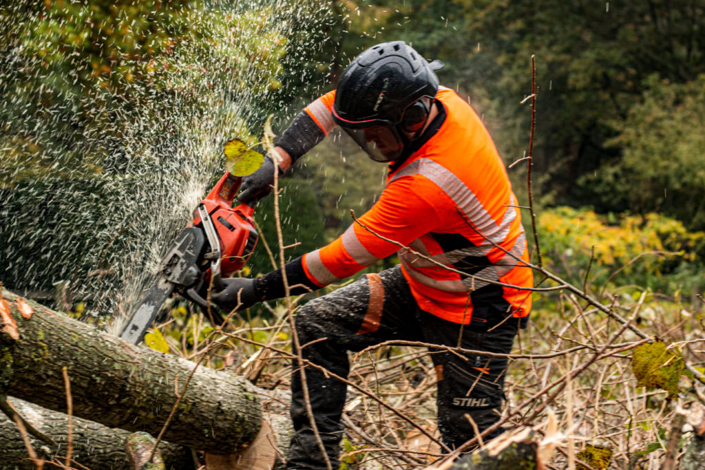 TC Trees Services, Wales